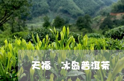 天福 冰岛普洱茶/2023041279482